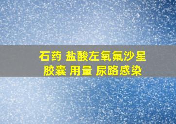 石药 盐酸左氧氟沙星胶囊 用量 尿路感染